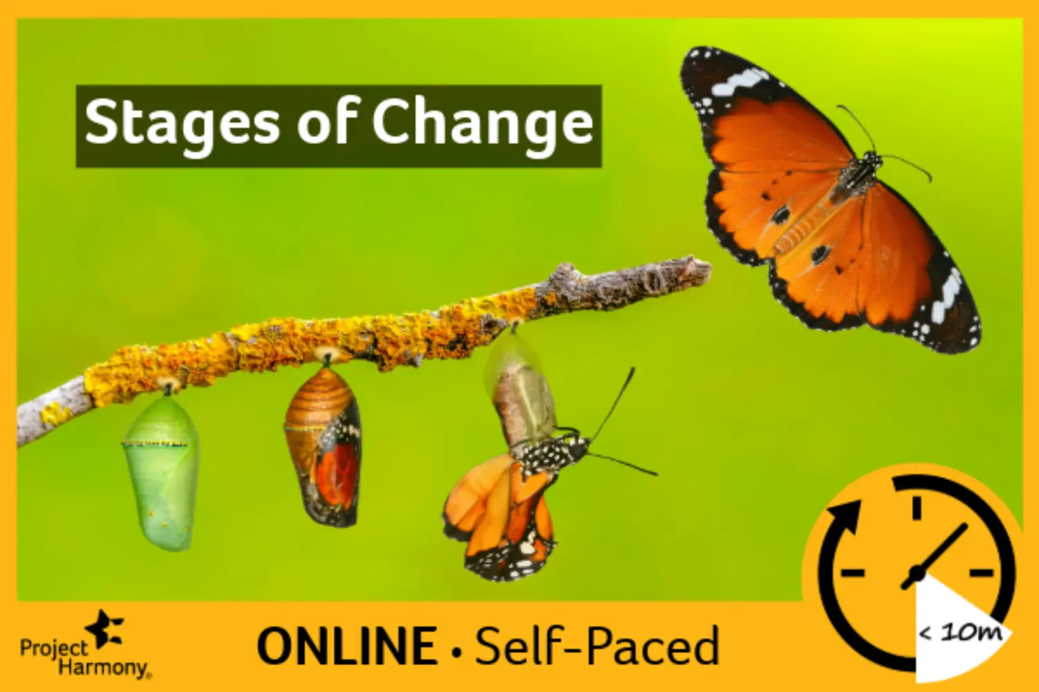 Microlearning: Stages of Change (Self-Paced) primary image