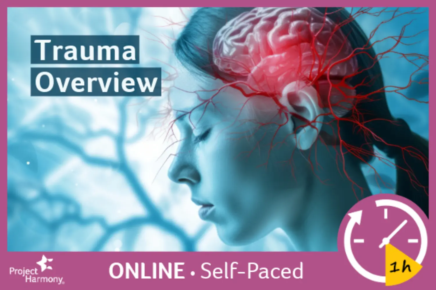 Trauma Overview (Self-Paced) primary image