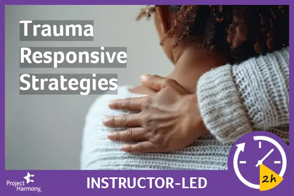 Trauma Responsive Strategies