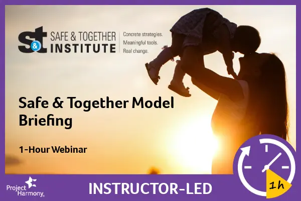 Safe and Together Model Briefing